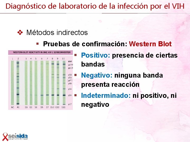 Diagnóstico de laboratorio de la infección por el VIH v Métodos indirectos § Pruebas