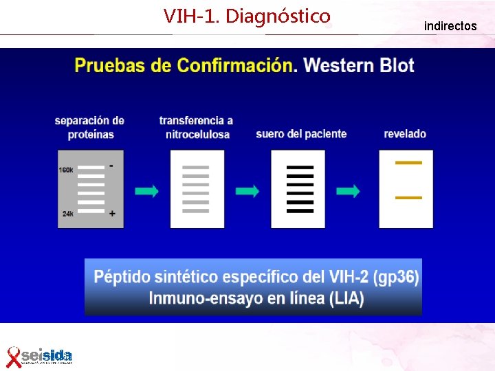 VIH-1. Diagnóstico indirectos 