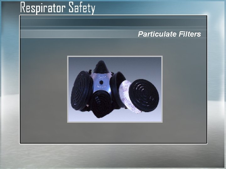 Particulate Filters 