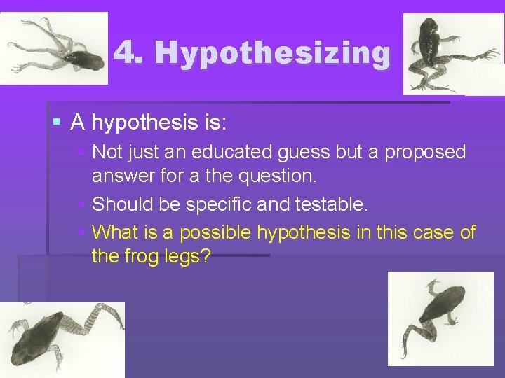 4. Hypothesizing A hypothesis is: Not just an educated guess but a proposed answer