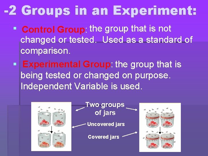 -2 Groups in an Experiment: the group that is not Control Group: changed or