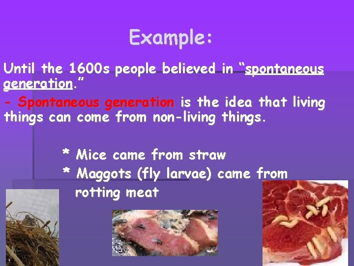 Example: Until the 1600 s people believed in “spontaneous generation. ” - Spontaneous generation