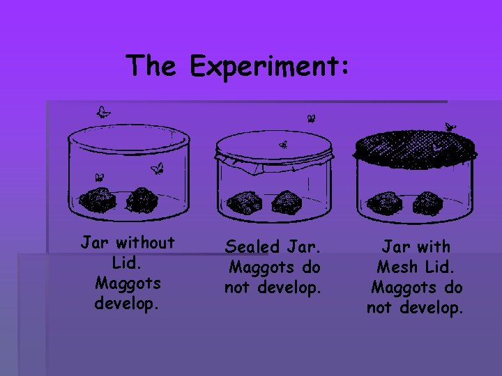 The Experiment: Jar without Lid. Maggots develop. Sealed Jar. Maggots do not develop. Jar