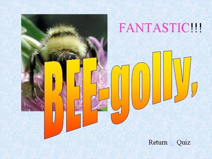 FANTASTIC!!! Return to Quiz 