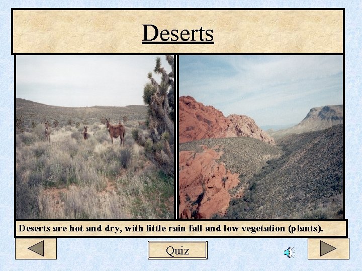 Deserts are hot and dry, with little rain fall and low vegetation (plants). Quiz