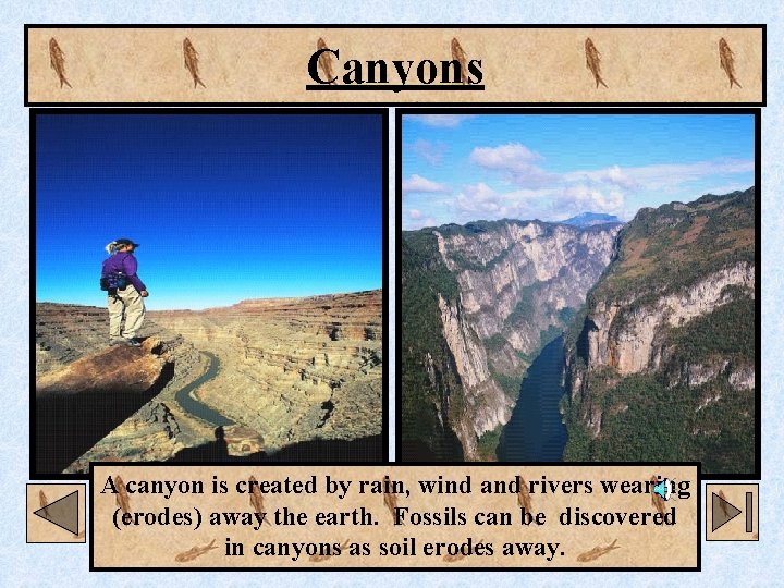 Canyons A canyon is created by rain, wind and rivers wearing (erodes) away the