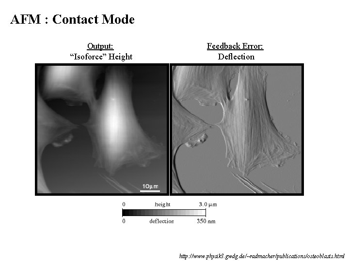 HIGHRESOLUTION IMAGING WITH FORCES ATOMIC FORCE MICROSCOPY Krystyn
