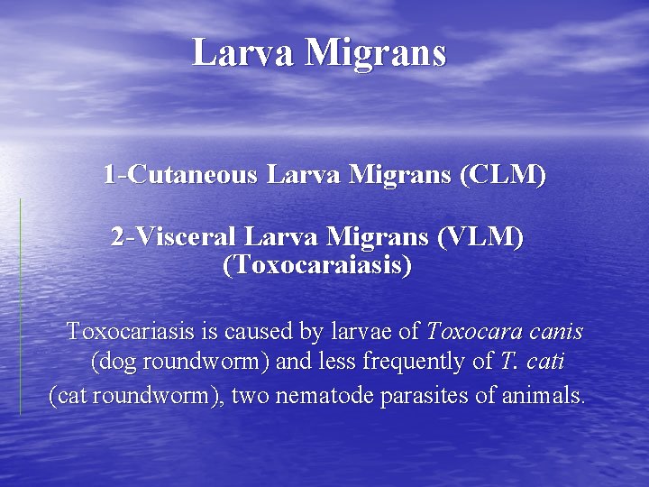 Larva Migrans 1 -Cutaneous Larva Migrans (CLM) 2 -Visceral Larva Migrans (VLM) (Toxocaraiasis) Toxocariasis