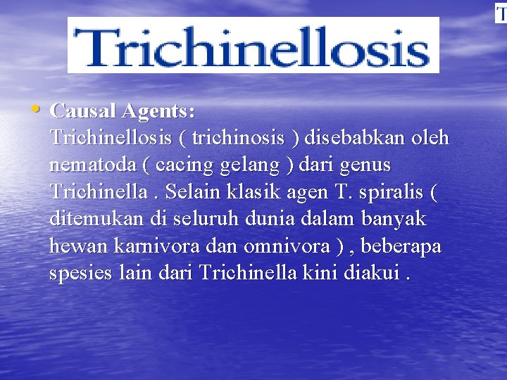  • Causal Agents: Trichinellosis ( trichinosis ) disebabkan oleh nematoda ( cacing gelang