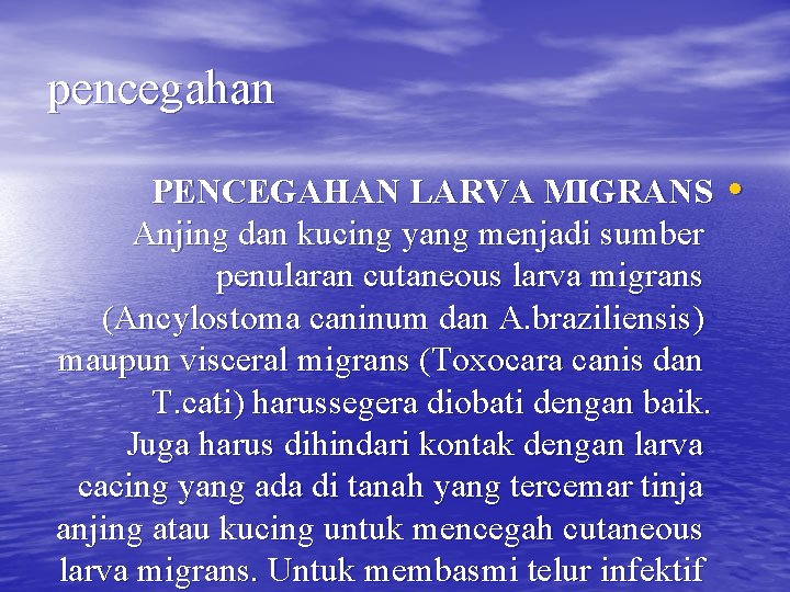 pencegahan PENCEGAHAN LARVA MIGRANS Anjing dan kucing yang menjadi sumber penularan cutaneous larva migrans