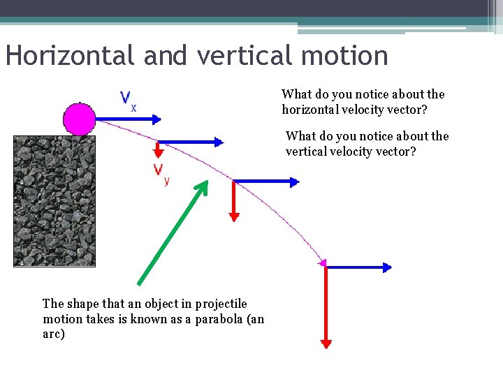 Horizontal and vertical motion What do you notice about the horizontal velocity vector? What