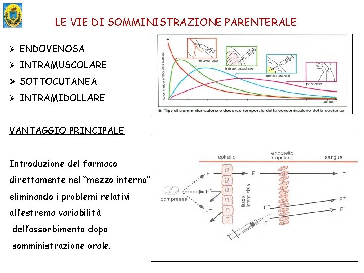 LE VIE DI SOMMINISTRAZIONE PARENTERALE Ø ENDOVENOSA Ø INTRAMUSCOLARE Ø SOTTOCUTANEA Ø INTRAMIDOLLARE VANTAGGIO