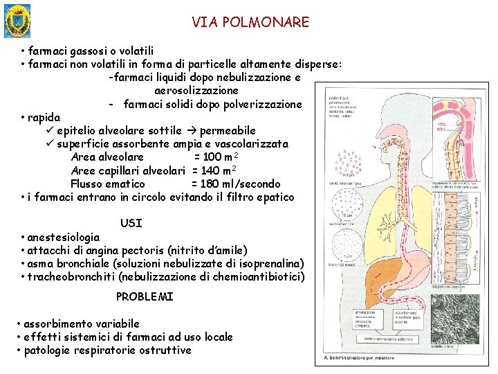 VIA POLMONARE • farmaci gassosi o volatili • farmaci non volatili in forma di