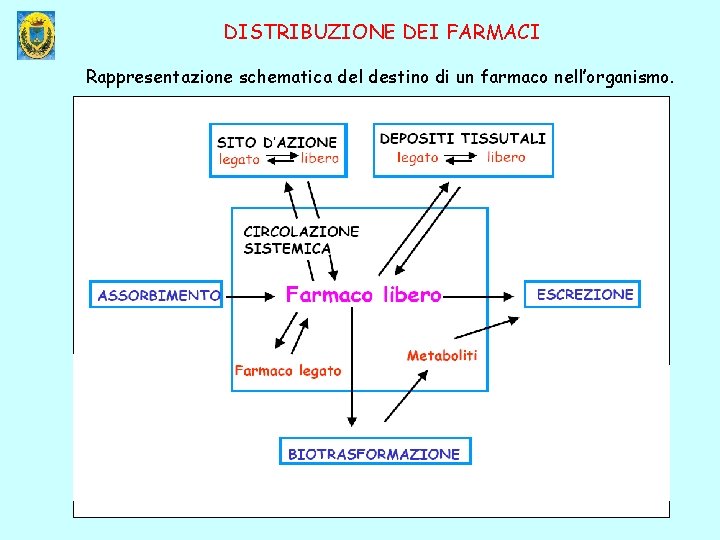 DISTRIBUZIONE DEI FARMACI Rappresentazione schematica del destino di un farmaco nell’organismo. 