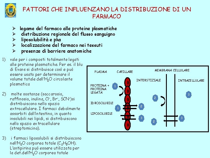 FATTORI CHE INFLUENZANO LA DISTRIBUZIONE DI UN FARMACO Ø legame del farmaco alle proteine