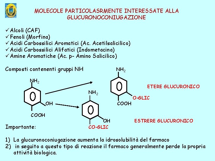 MOLECOLE PARTICOLASRMENTE INTERESSATE ALLA GLUCURONOCONIUGAZIONE üAlcoli (CAF) üFenoli (Morfina) üAcidi Carbossilici Aromatici (Ac. Acetilsalicilico)