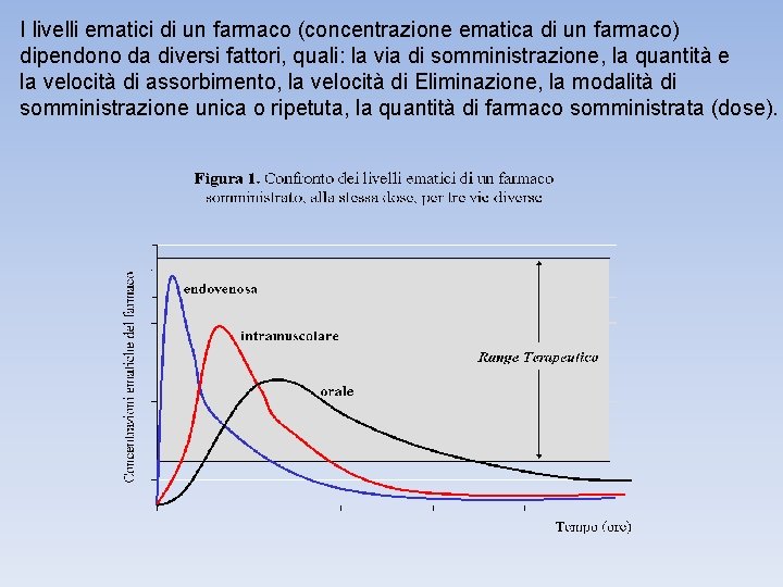 I livelli ematici di un farmaco (concentrazione ematica di un farmaco) dipendono da diversi