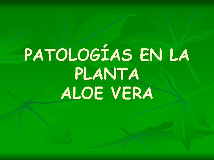 PATOLOGÍAS EN LA PLANTA ALOE VERA 