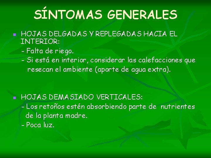 SÍNTOMAS GENERALES n n HOJAS DELGADAS Y REPLEGADAS HACIA EL INTERIOR: - Falta de