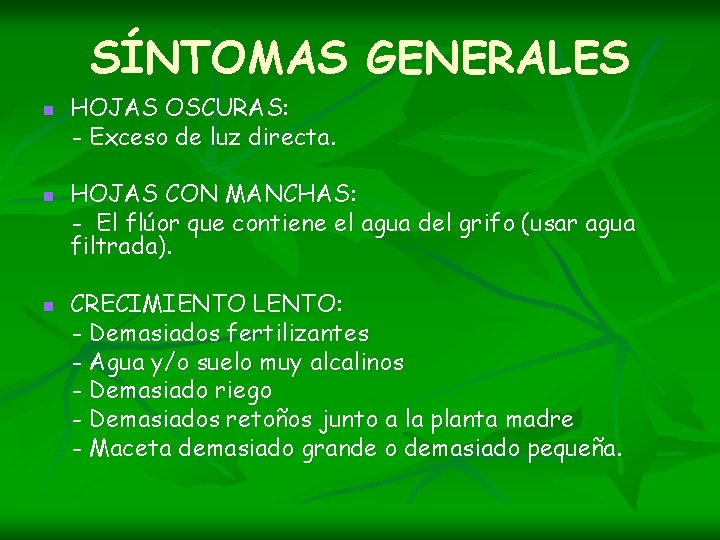 SÍNTOMAS GENERALES n n n HOJAS OSCURAS: - Exceso de luz directa. HOJAS CON