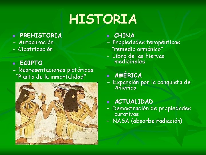 HISTORIA PREHISTORIA - Autocuración - Cicatrización n EGIPTO - Representaciones pictóricas “Planta de la