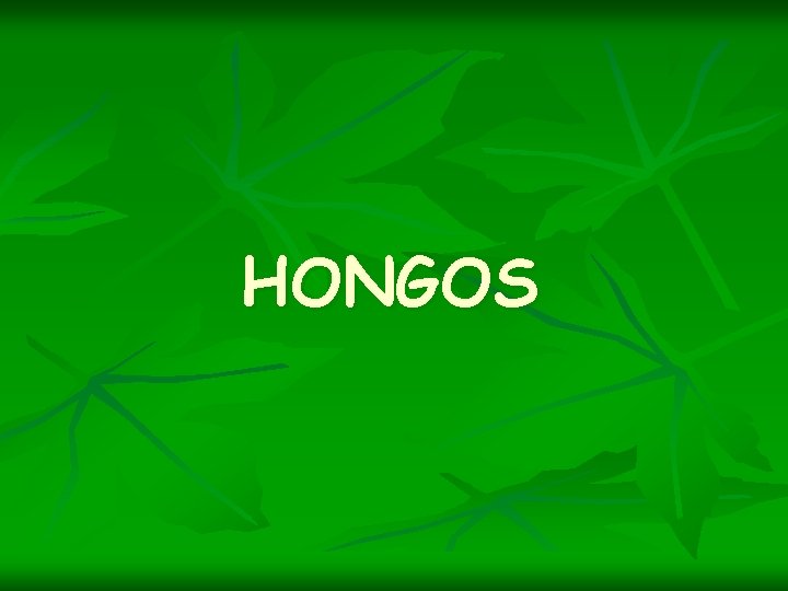 HONGOS 