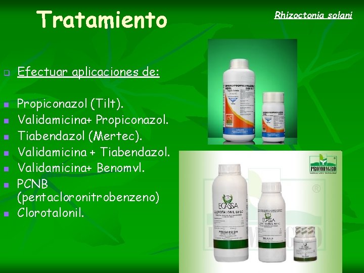 Tratamiento q n n n n Efectuar aplicaciones de: Propiconazol (Tilt). Validamicina+ Propiconazol. Tiabendazol