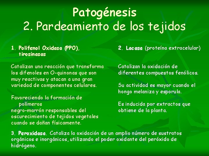 Patogénesis 2. Pardeamiento de los tejidos 1. Polifenol Oxidasa (PPO), tirosinasas 2. Lacasa (proteína