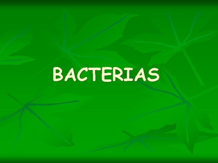 BACTERIAS 