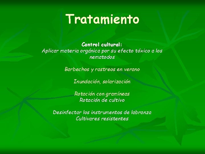 Tratamiento Control cultural: Aplicar materia orgánica por su efecto tóxico a los nematodos Barbechos