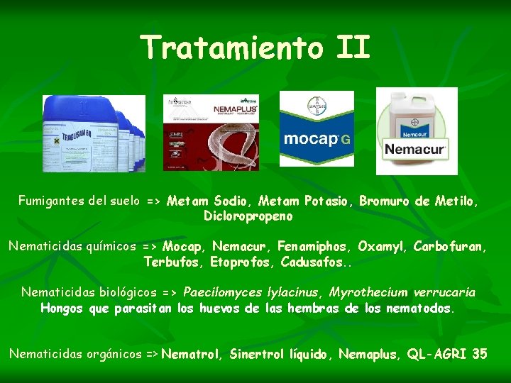 Tratamiento II Fumigantes del suelo => Metam Sodio, Metam Potasio, Bromuro de Metilo, Dicloropropeno