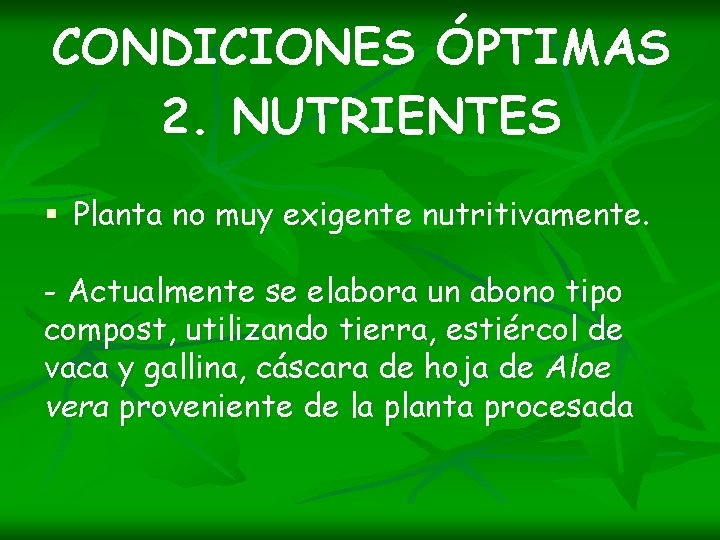 CONDICIONES ÓPTIMAS 2. NUTRIENTES § Planta no muy exigente nutritivamente. - Actualmente se elabora