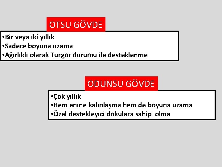OTSU GÖVDE • Bir veya iki yıllık • Sadece boyuna uzama • Ağırlıklı olarak OTSU GÖVDE • Bir veya iki yıllık • Sadece boyuna uzama • Ağırlıklı olarak