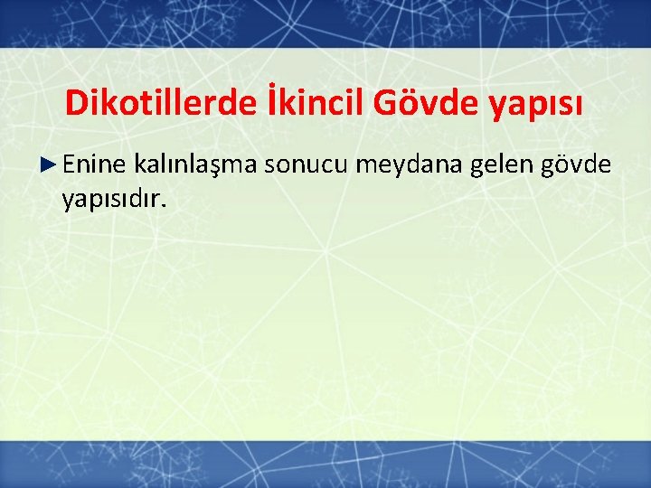Dikotillerde İkincil Gövde yapısı ► Enine kalınlaşma sonucu meydana gelen gövde yapısıdır. Dikotillerde İkincil Gövde yapısı ► Enine kalınlaşma sonucu meydana gelen gövde yapısıdır.