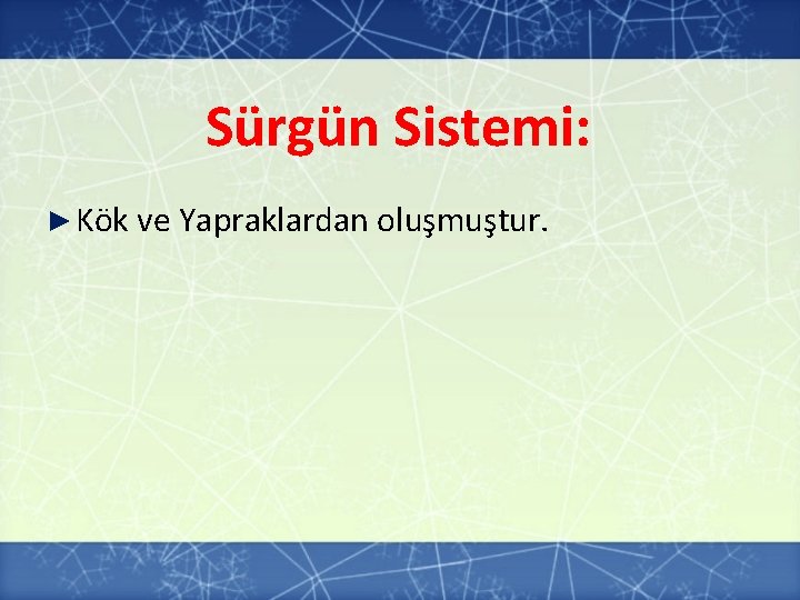 Sürgün Sistemi: ► Kök ve Yapraklardan oluşmuştur. Sürgün Sistemi: ► Kök ve Yapraklardan oluşmuştur.