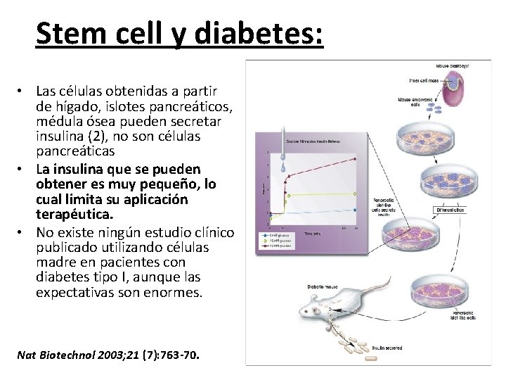 Stem cell y diabetes: • Las células obtenidas a partir de hígado, islotes pancreáticos,