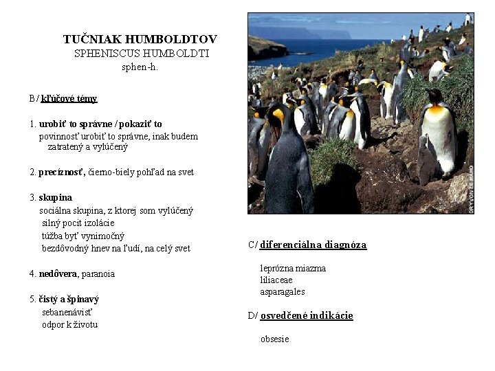 TUČNIAK HUMBOLDTOV SPHENISCUS HUMBOLDTI sphen-h. B/ kľúčové témy 1. urobiť to správne / pokaziť