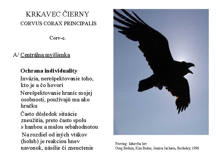 KRKAVEC ČIERNY CORVUS CORAX PRINCIPALIS Corv-c. A/ Centrálna myšlienka Ochrana individuality Invázia, nerešpektovanie toho,
