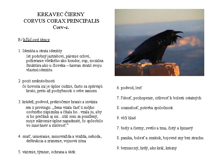 KRKAVEC ČIERNY CORVUS CORAX PRINCIPALIS Corv-c. B/ kľúčové témy 1. Identita a strata identity