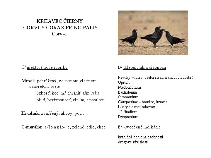 KRKAVEC ČIERNY CORVUS CORAX PRINCIPALIS Corv-c. C/ niektoré nové rubriky Myseľ: pohrúžený, vo svojom