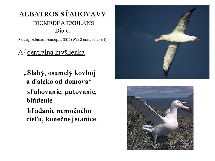 ALBATROS SŤAHOVAVÝ DIOMEDEA EXULANS Dio-e. Proving: holandskí homeopati, 2000 (Wad Stories, volume 1) A/