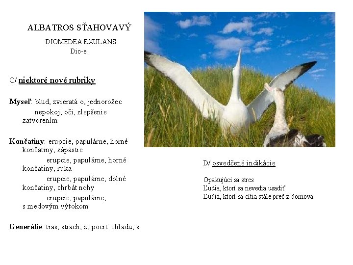 ALBATROS SŤAHOVAVÝ DIOMEDEA EXULANS Dio-e. C/ niektoré nové rubriky Myseľ: blud, zvieratá o, jednorožec