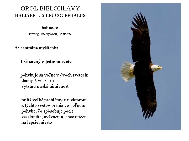 OROL BIELOHLAVÝ HALIAEETUS LEUCOCEPHALUS haliae-lc. Proving: Jeremy Sherr, California A/ centrálna myšlienka Uväznený v