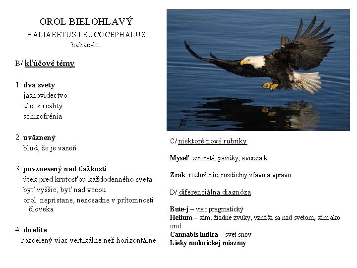 OROL BIELOHLAVÝ HALIAEETUS LEUCOCEPHALUS haliae-lc. B/ kľúčové témy 1. dva svety jasnovidectvo úlet z