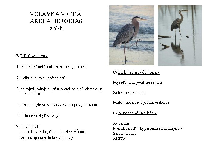 VOLAVKA VEĽKÁ ARDEA HERODIAS ard-h. B/ kľúčové témy 1. spojenie / odlúčenie, separácia, izolácia