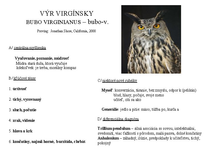 VÝR VIRGÍNSKY BUBO VIRGINIANUS – bubo-v. Proving: Jonathan Shore, California, 2000 A/ centrálna myšlienka