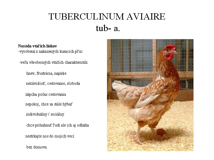 TUBERCULINUM AVIAIRE tub- a. Nozóda vtáčich liekov -vyrobená z nakazených kuracích pľúc -veľa všeobecných