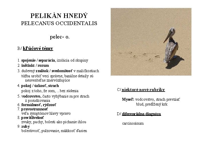 PELIKÁN HNEDÝ PELECANUS OCCIDENTALIS pelec- o. B/ kľúčové témy 1. spojenie / separácia, izolácia