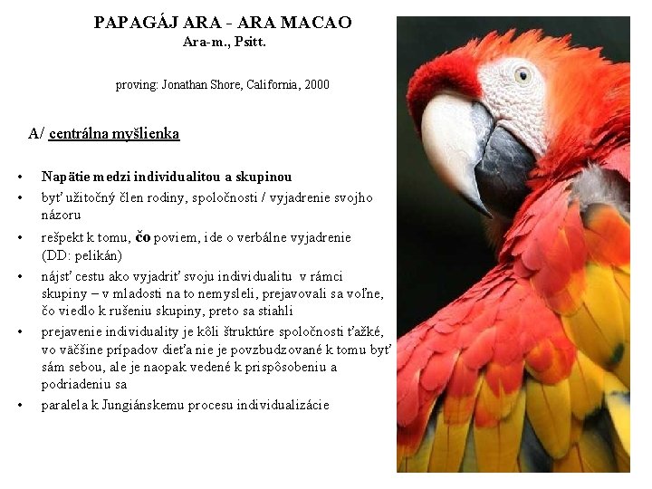 PAPAGÁJ ARA - ARA MACAO Ara-m. , Psitt. proving: Jonathan Shore, California, 2000 A/
