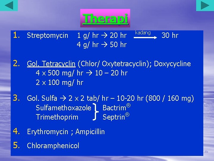 Therapi 1. Streptomycin 1 g/ hr 20 hr kadang 30 hr 4 g/ hr